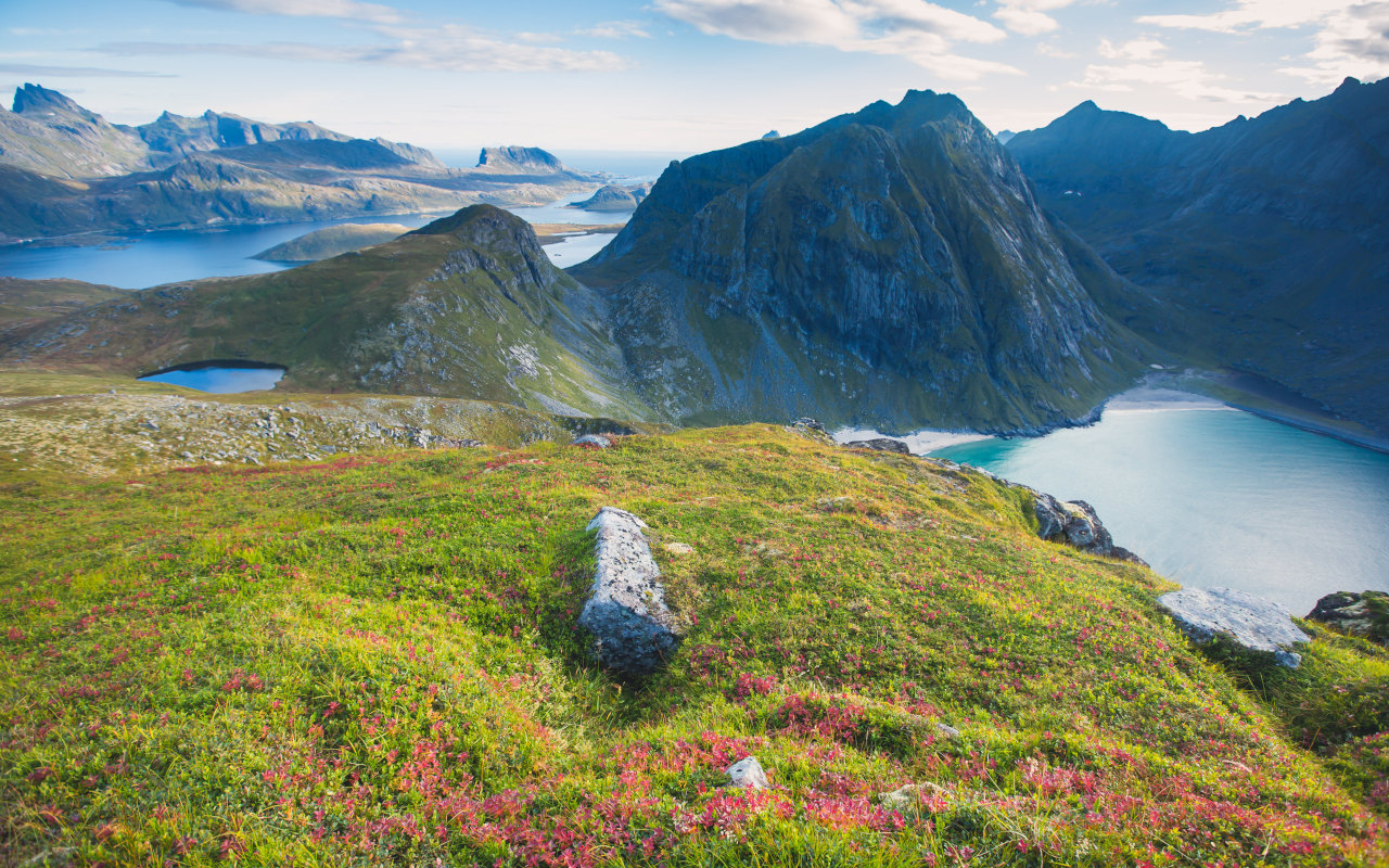 Paisajes del fiordo de Oslo que podrás contemplar desde las ventanas panorámicas.
