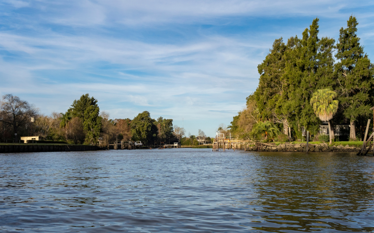 Date un capricho y vive una experiencia única con este paseo en barco por el delta del Tigre.
