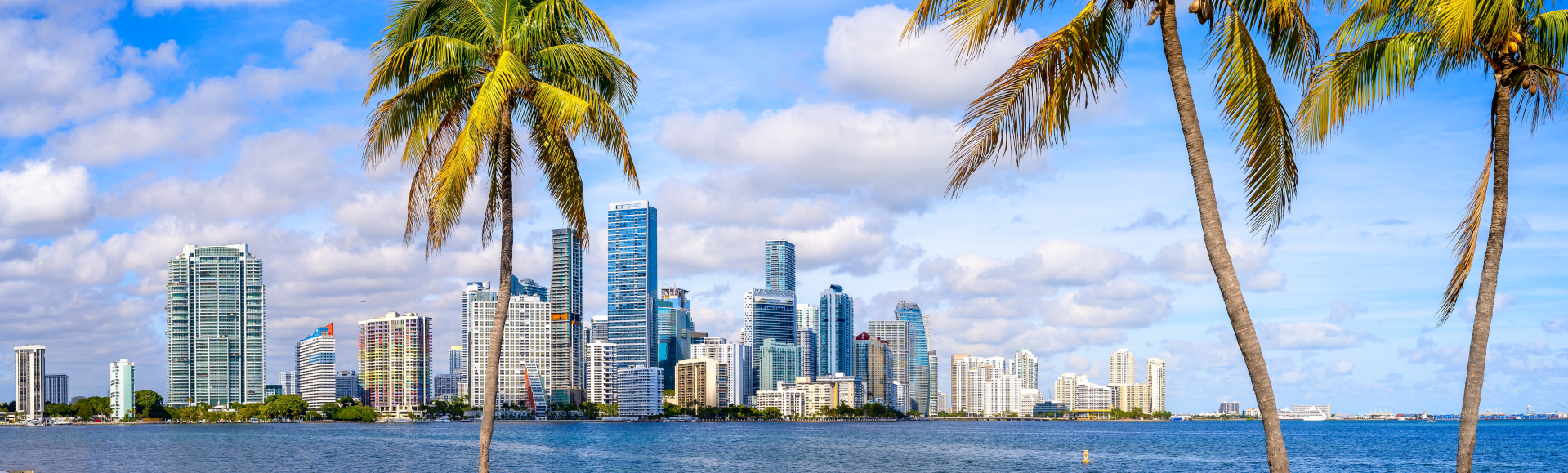 Paseos en barco en Miami