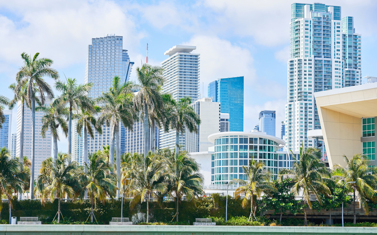 Desde el autobús admirarás los impresionantes rascacielos de Miami.