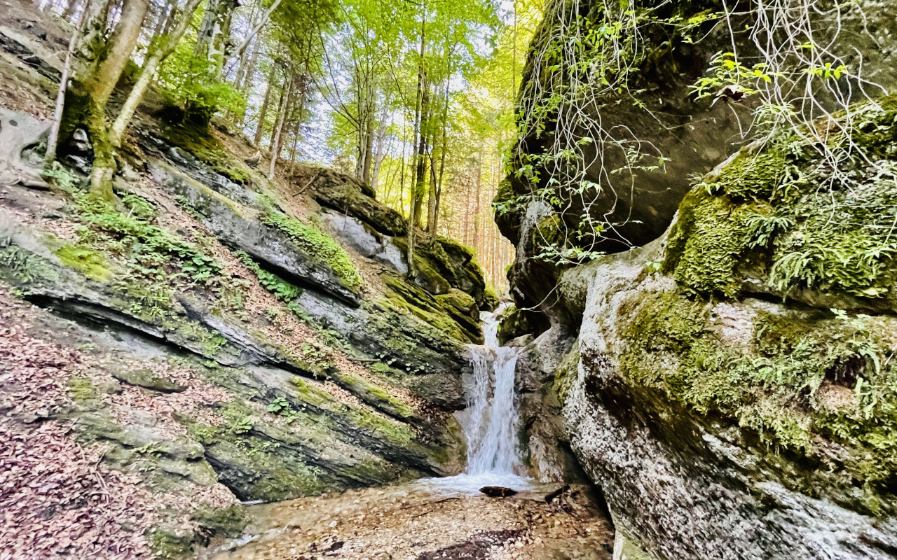 Las cascadas de agua te sorprenderán a lo largo del camino, dando un toque todavía más atractivo a este recorrido.