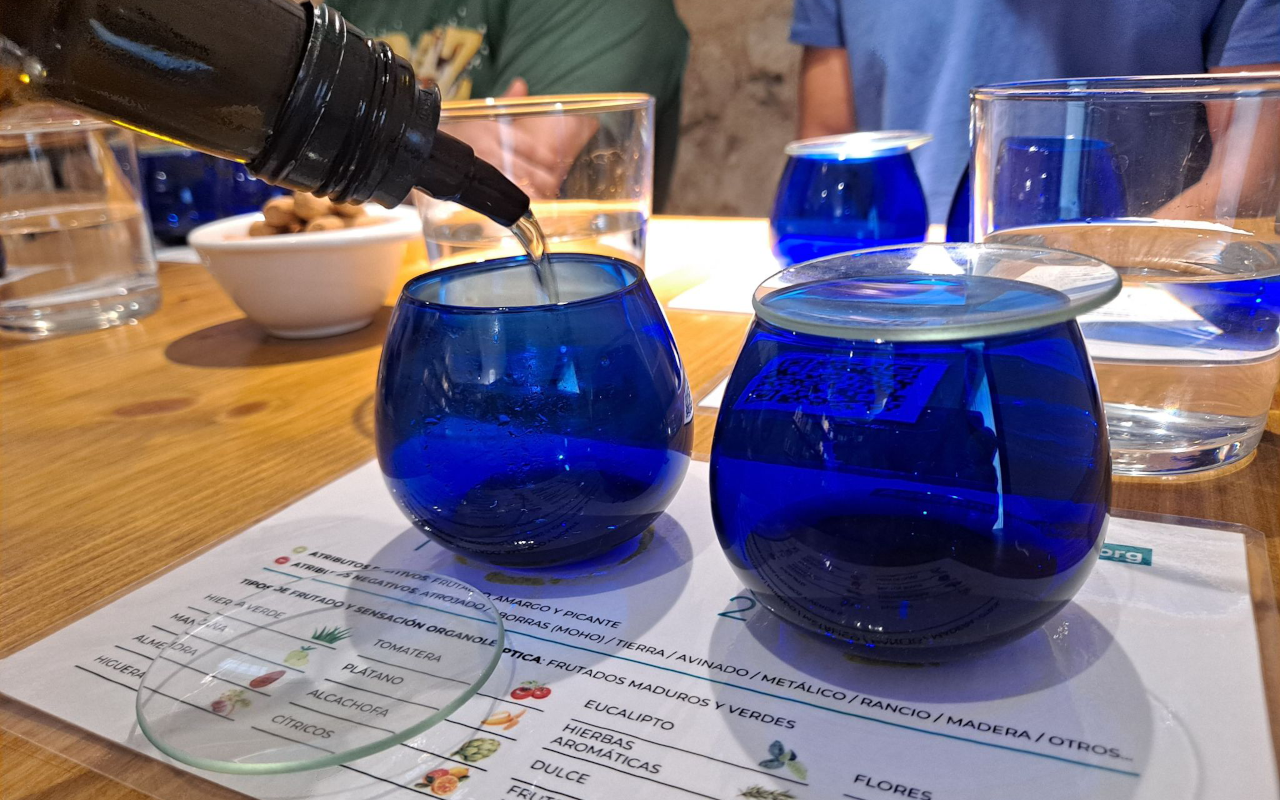 Vasos para la cata de aceites que se hace en esta visita en Oliete.