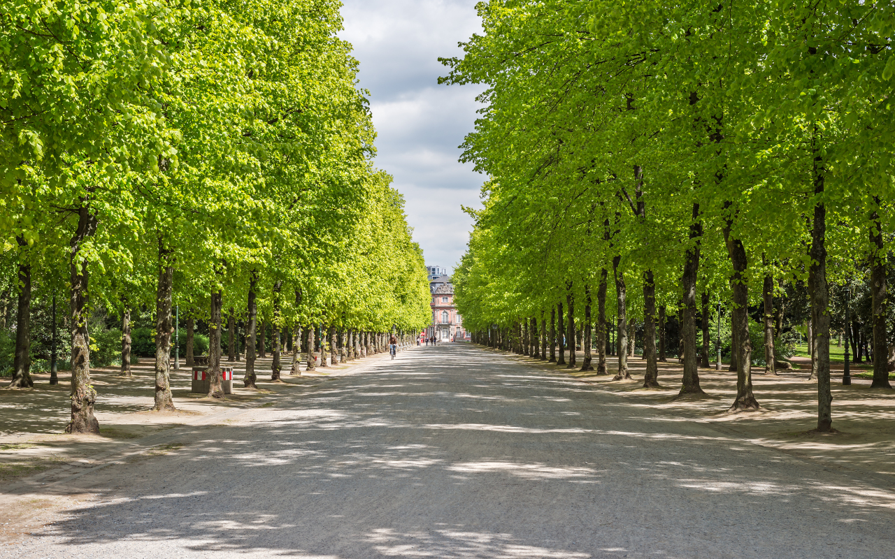 El Hofgarten es el mayor parque urbano de la ciudad.