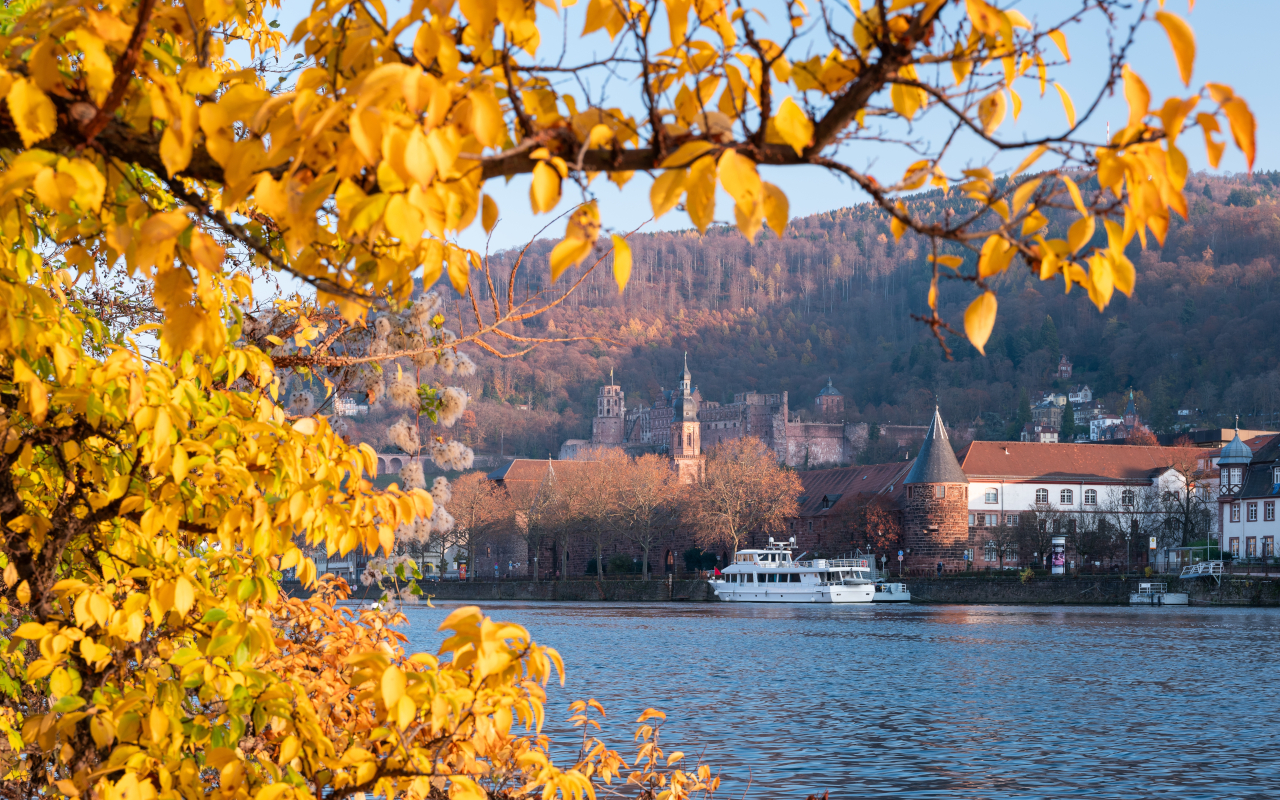 Río Neckar con vegetación otoñal y la ciudad de Heidelberg al fondo.