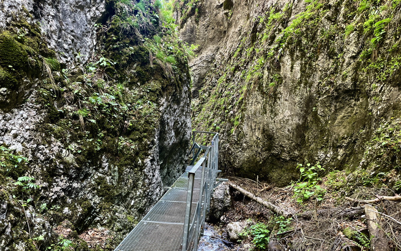 El verde intenso que aparece en las formaciones rocosas añade todavía más encanto a este fenómeno natural único.