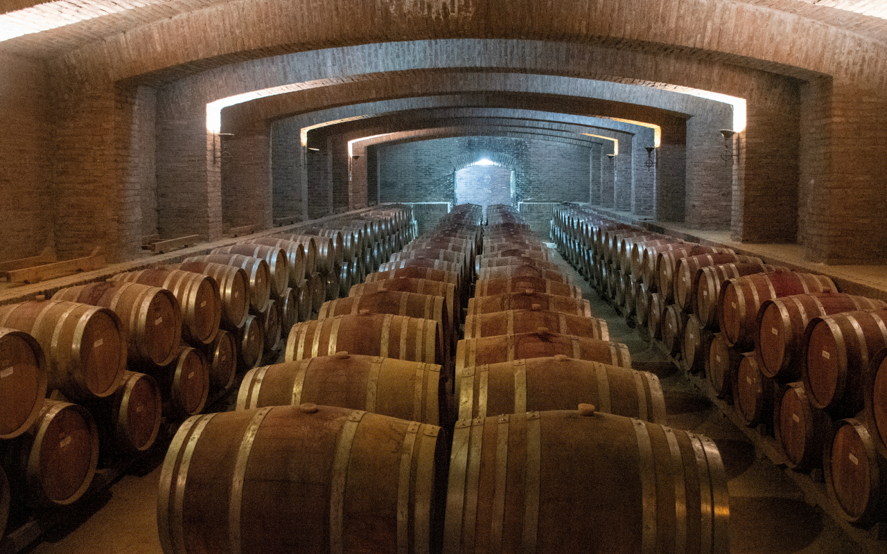 La bodegas guardan siglos de tradición que se relevarán en esta excursión desde Santiago de Chile.