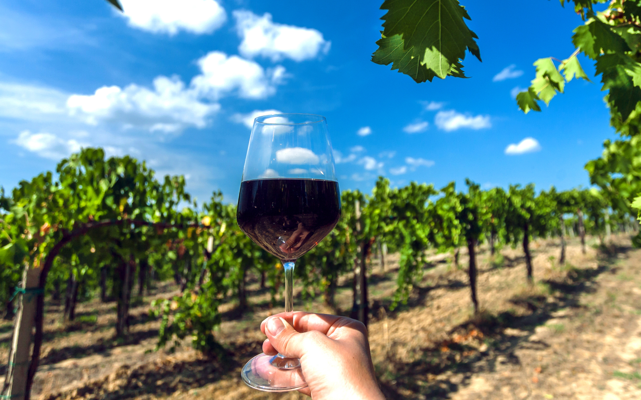 La cata de vino está incluida en esta excursión a la Toscana desde Roma.