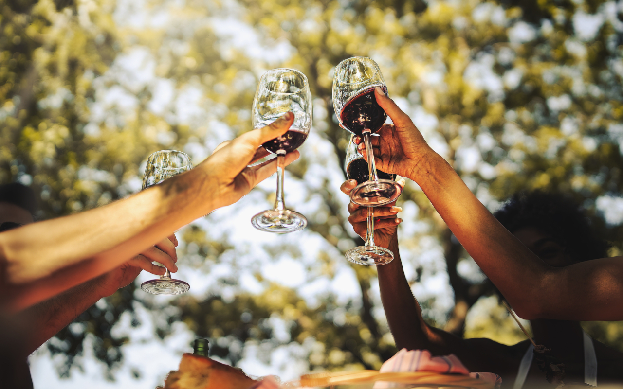 Podrás brindar con una degustación de 3 vinos incluidos en esta excursión.