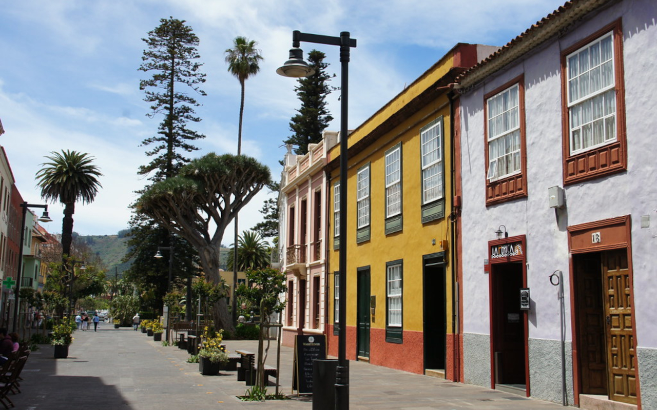 Leyenda del drago y su savia en las calles de La Laguna.
