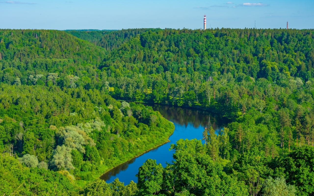 El Parque Nacional de Gauja es otro de los atractivos turísticos de este recorrido guiado.