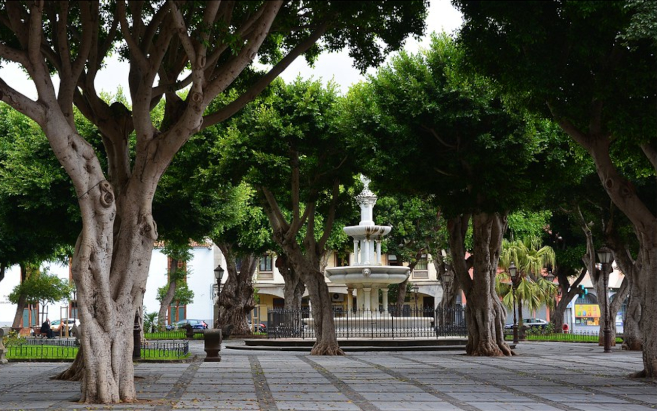 El centro de la Plaza del Adelantado, punto inicial del free tour misterioso.