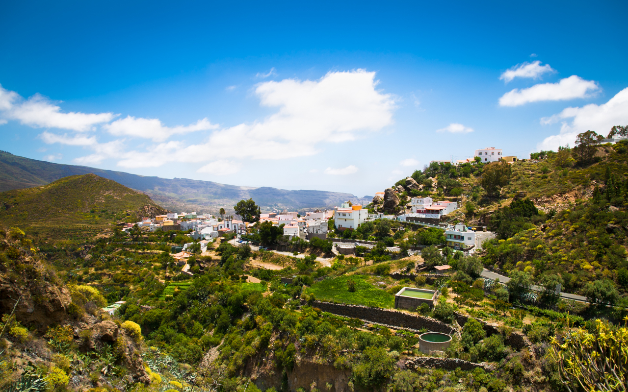 Panorámica natural, como el resto que protagonizan esta excursión por cumbres, miradores y zonas naturales de Gran Canaria.