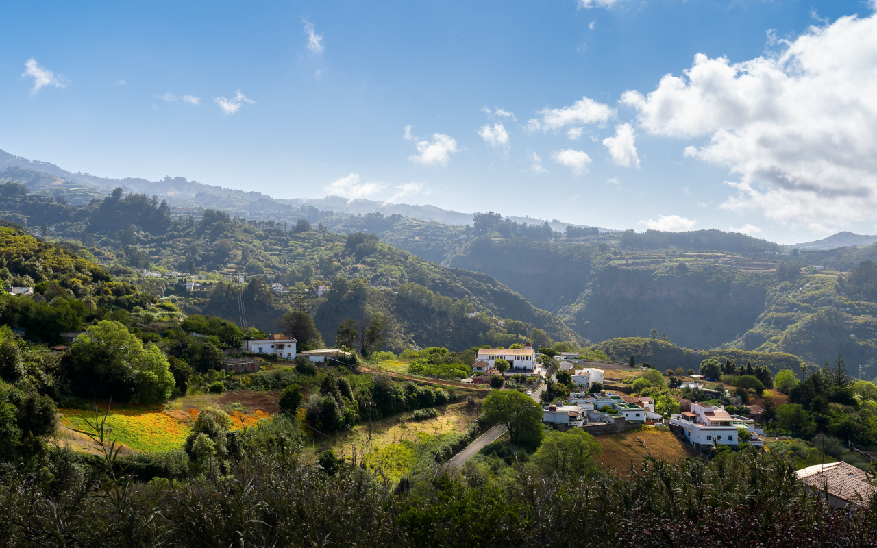 En Valleseco, además de observar la grandeza natural de la isla, tendremos tiempo para comer.
