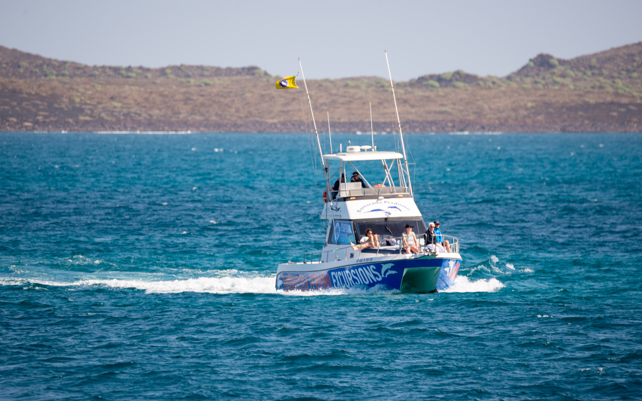 Barco desde el que se realiza el avistamiento de cetáceos en Corralejo.