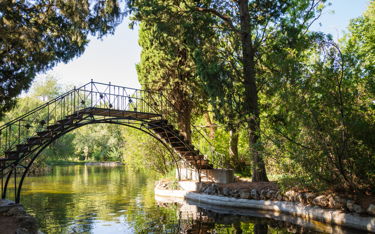 Paisaje de naturaleza en este emblemático pulmón verde de Madrid.