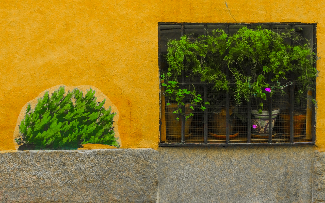 Decoración de paredes con plantas dibujadas, un ejemplo del street art de este free tour.