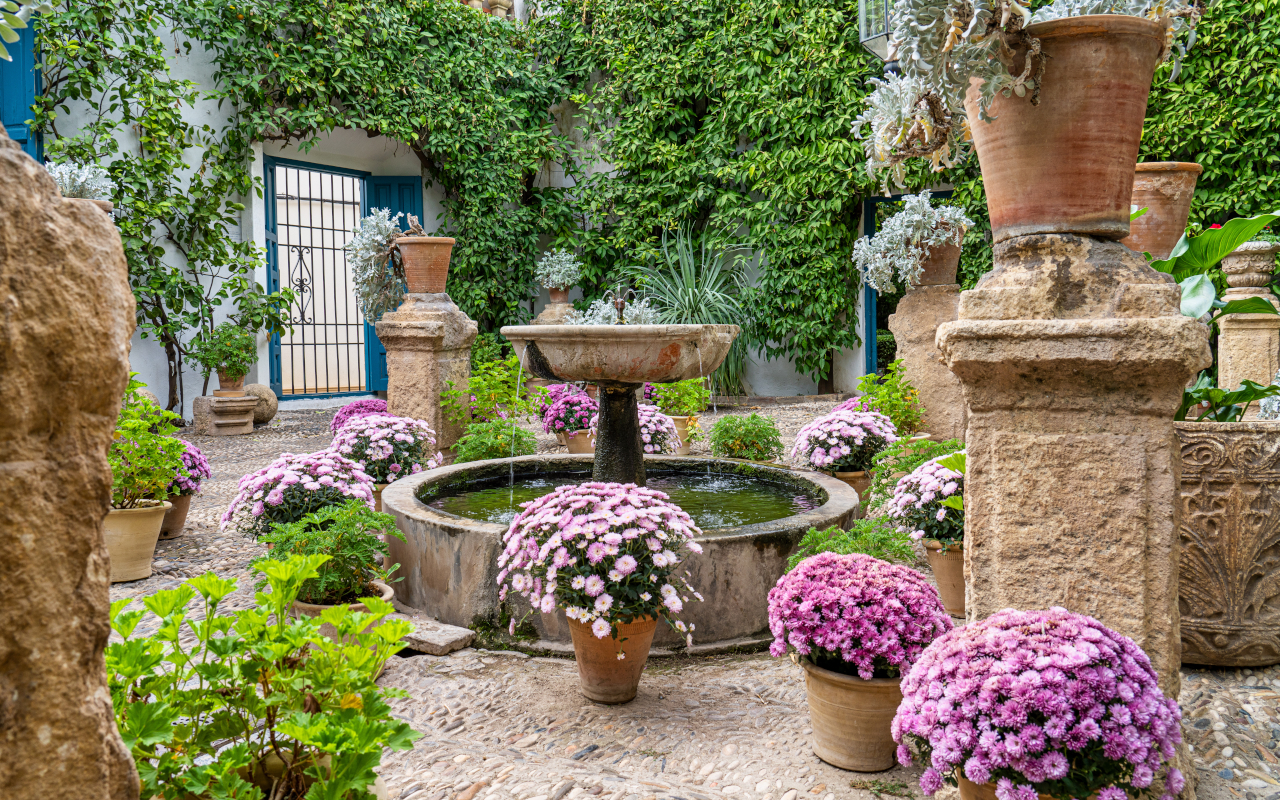 Diferentes tipos de flores de colores en una casa tradicional cordobesa.