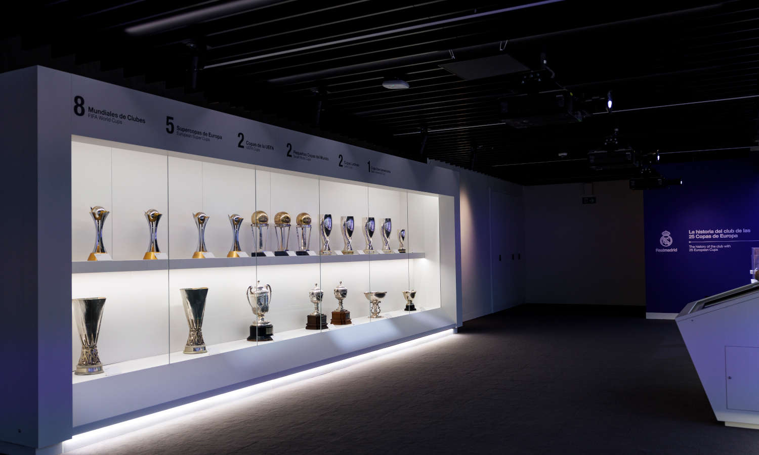 Podrás ver las Copas de Europa conseguidas por el club a los largo de su historia.