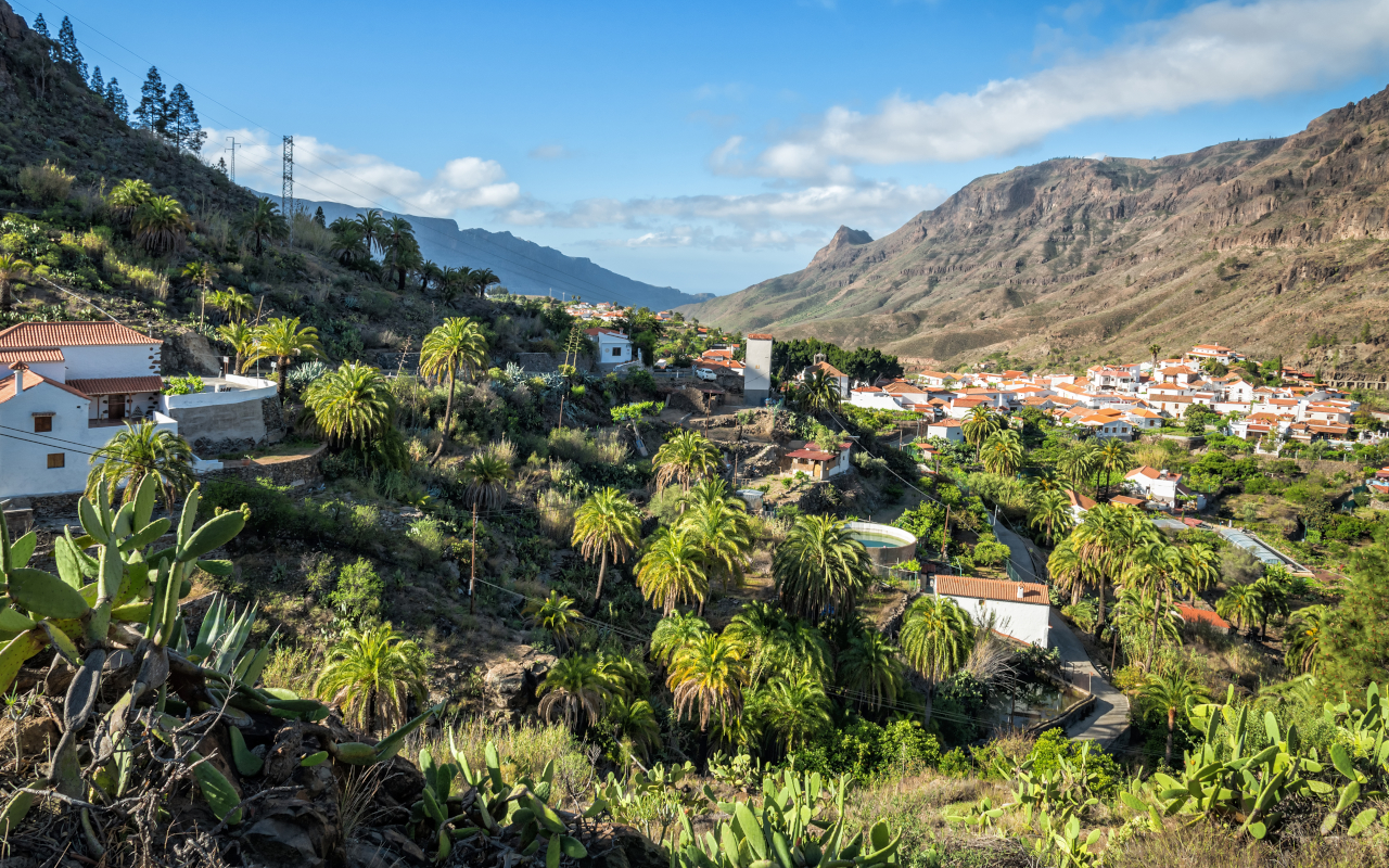 Aerial view of the village of Fatagata, surrounded by vegetation.