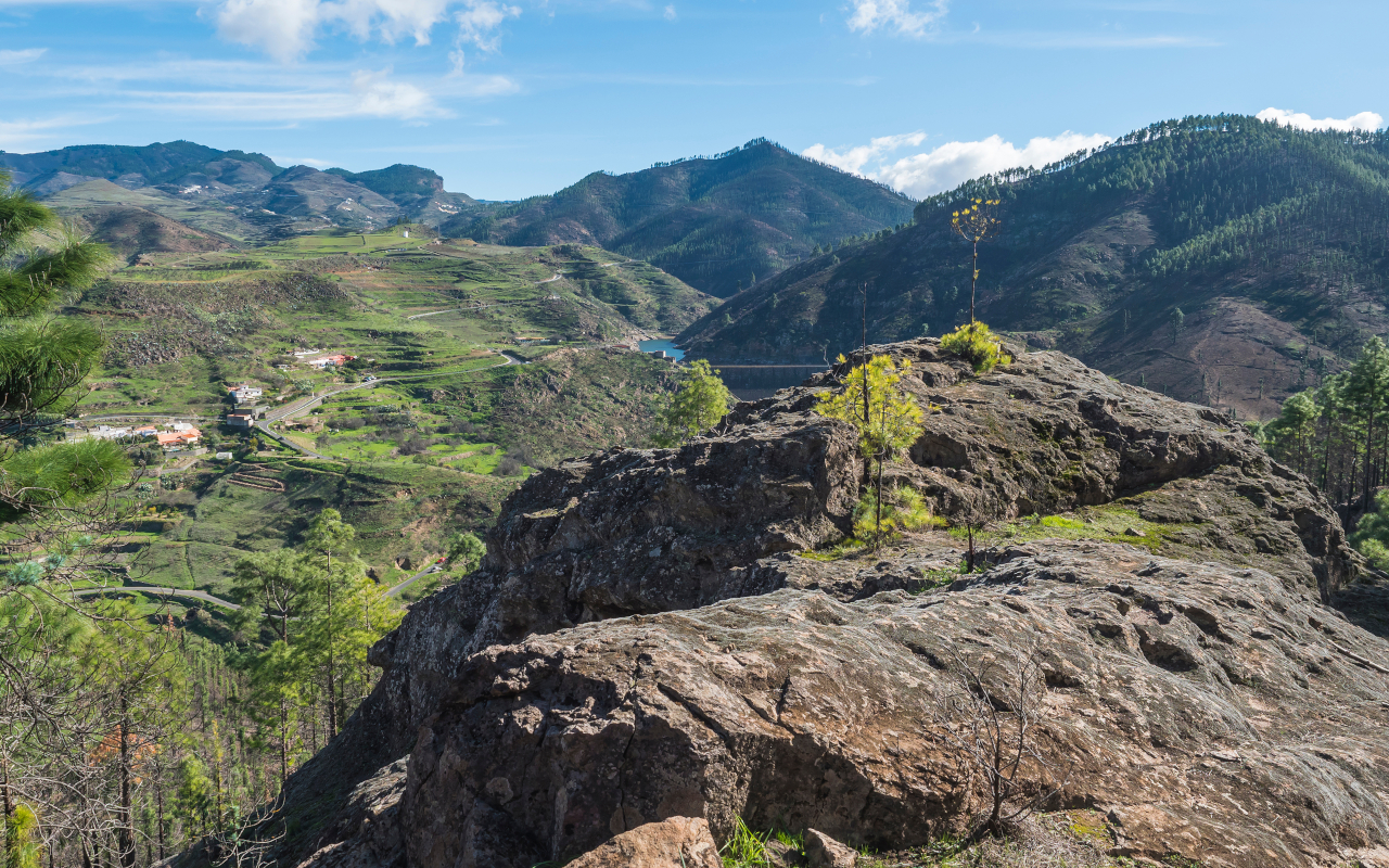 Tamadaba Natural Park.