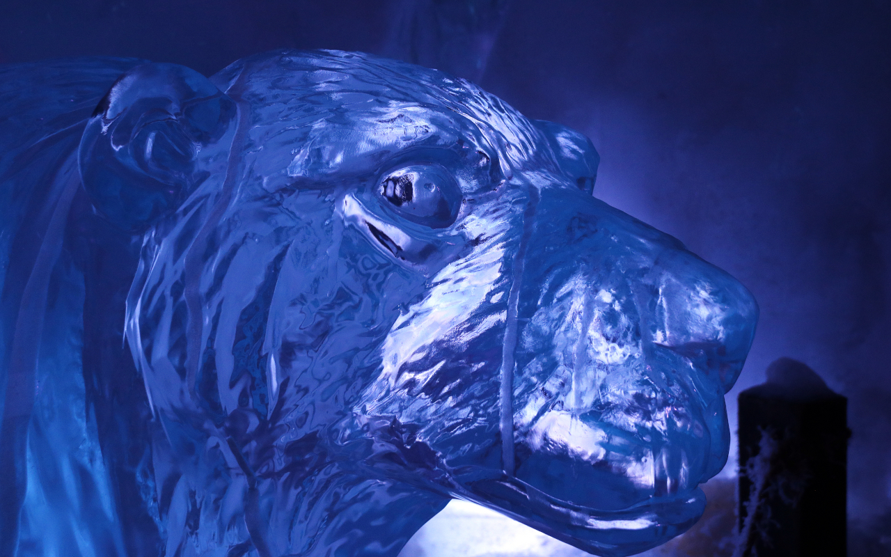 Escultura de hielo de oso en Icebar Amsterdam
