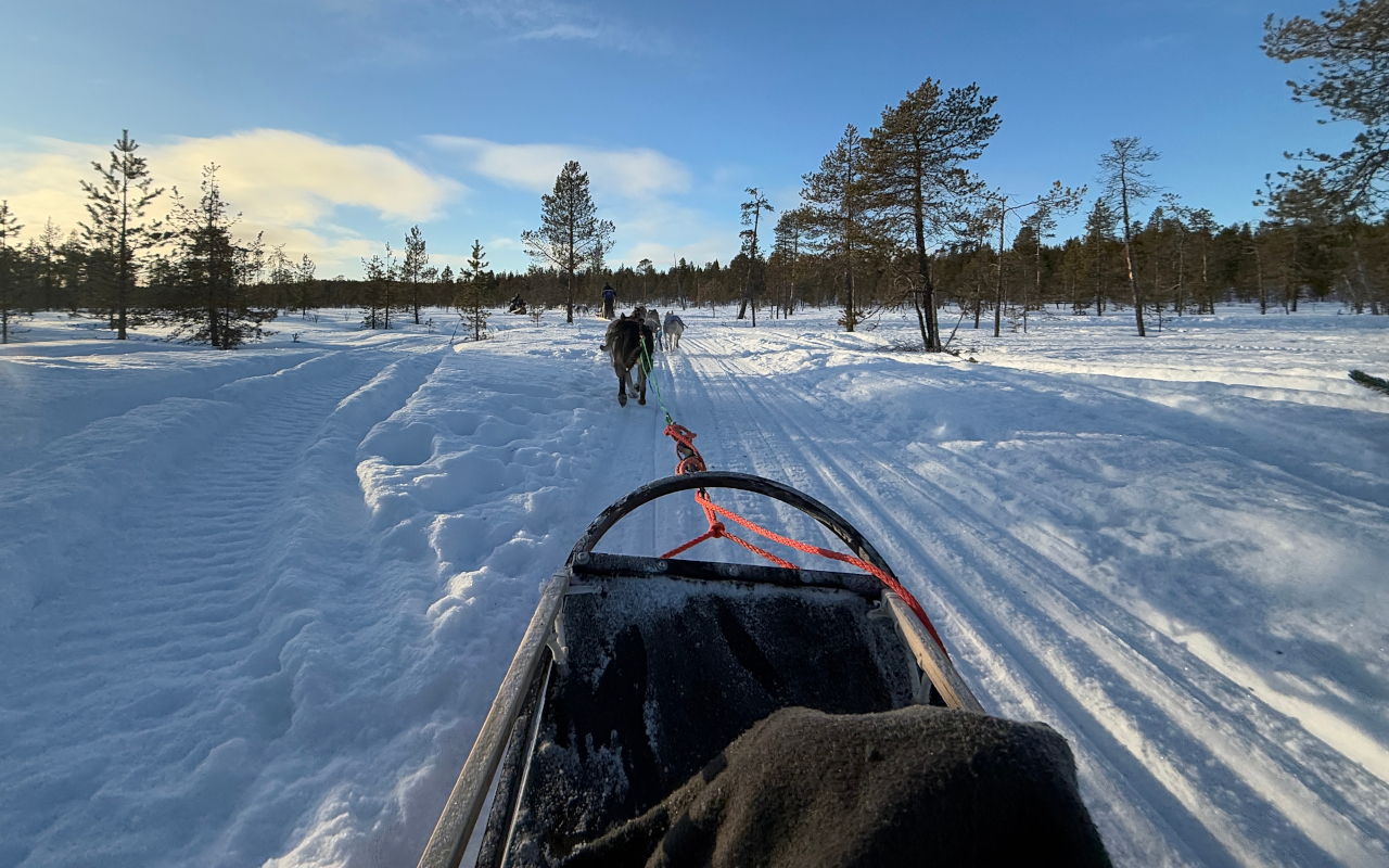 Siente la emoción del trineo tirado por huskies a través de paisajes cubiertos de nieve.