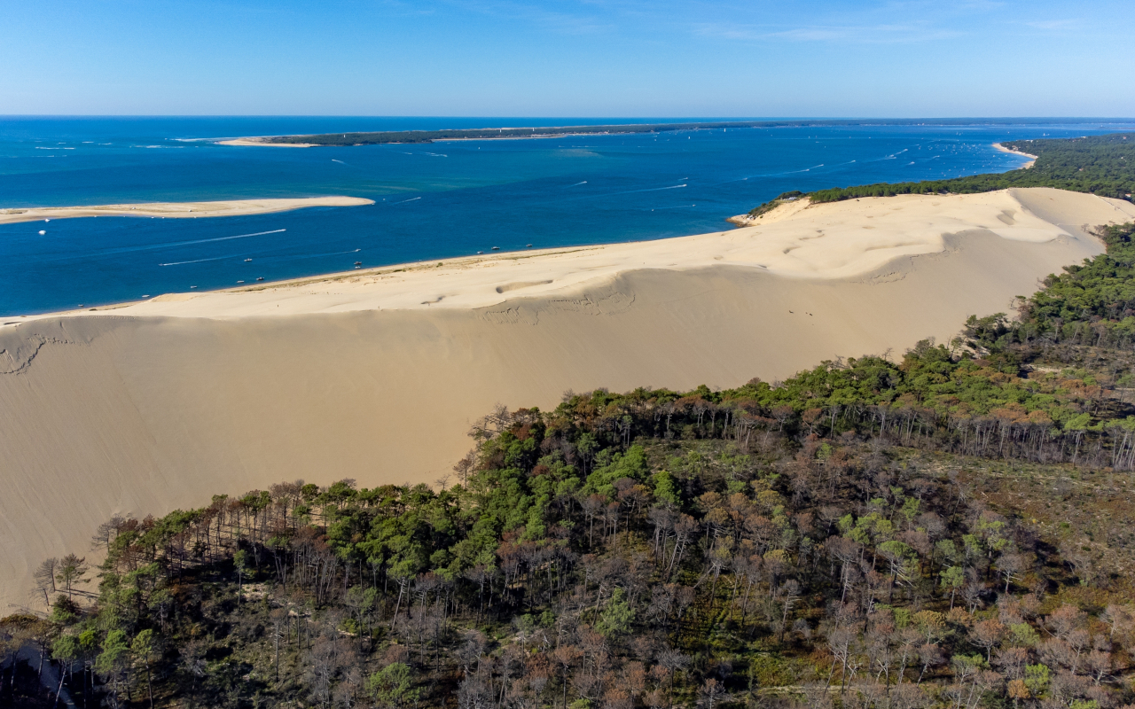 Vista aérea de la imponente Duna de Pilat y su vegetación.