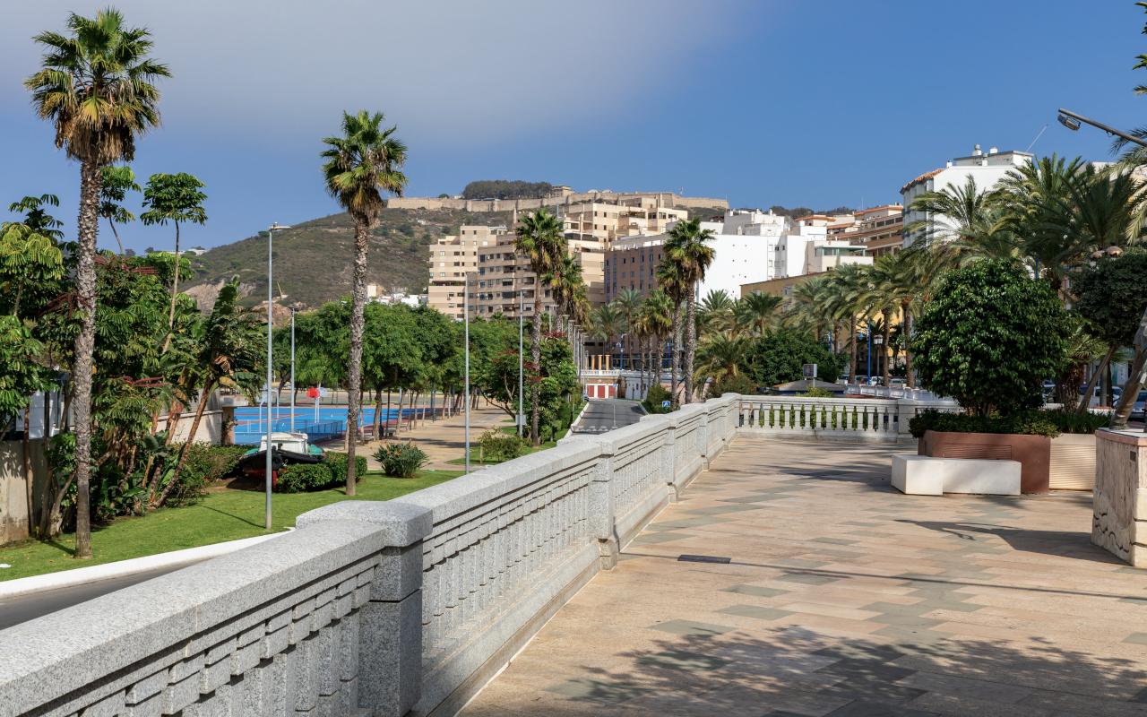 Calle céntrica de Ceuta con palmeras y edificios históricos, creando un paseo lleno de encanto mediterráneo.