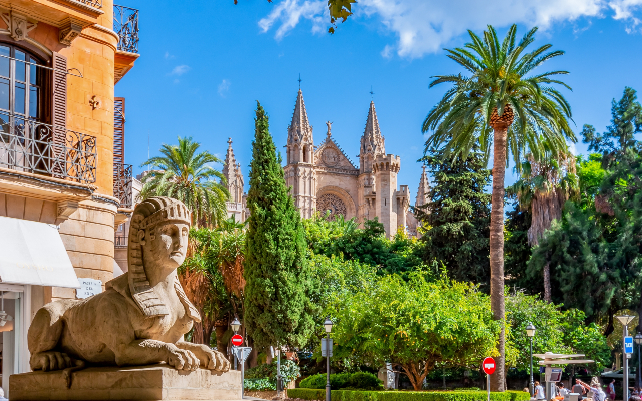 Centro de Palma, con la catedral al fondo y palmeras que le dan un toque tropical a la ciudad.