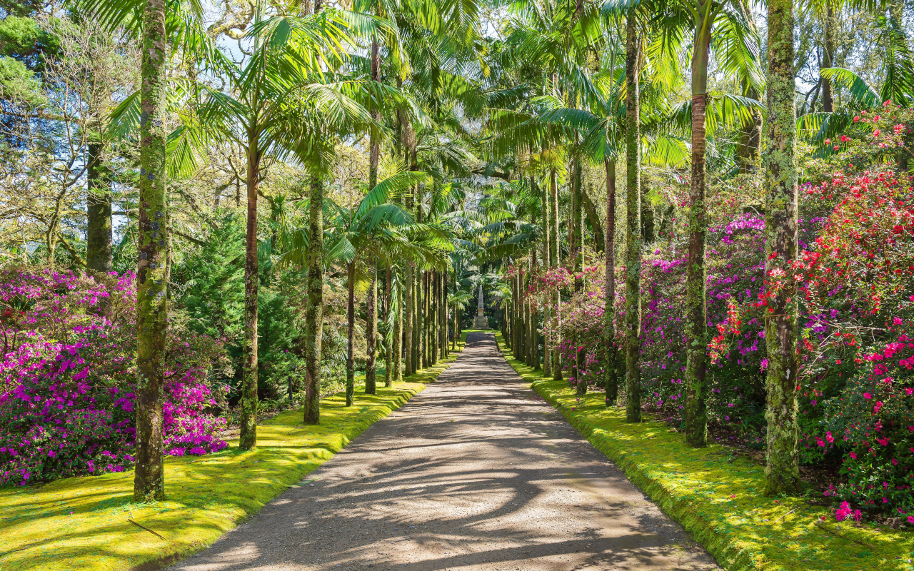 Botanical Garden in Terra Nostra, Azores