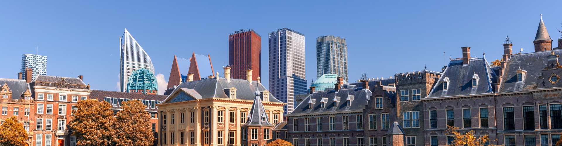 Traslados y transportes en La Haya