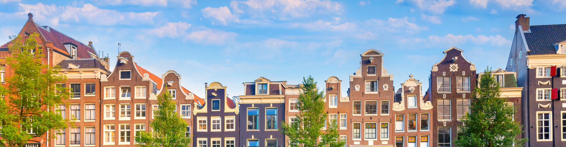 Tours panorámicos en autobús en Países Bajos