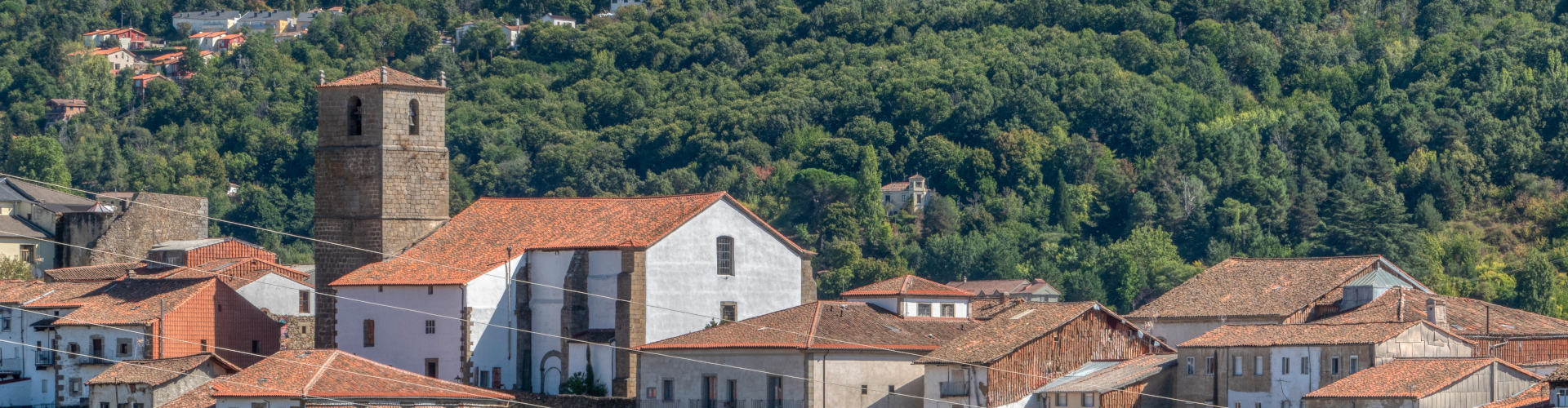 Tours a pie y visitas guiadas en Salamanca Provincia