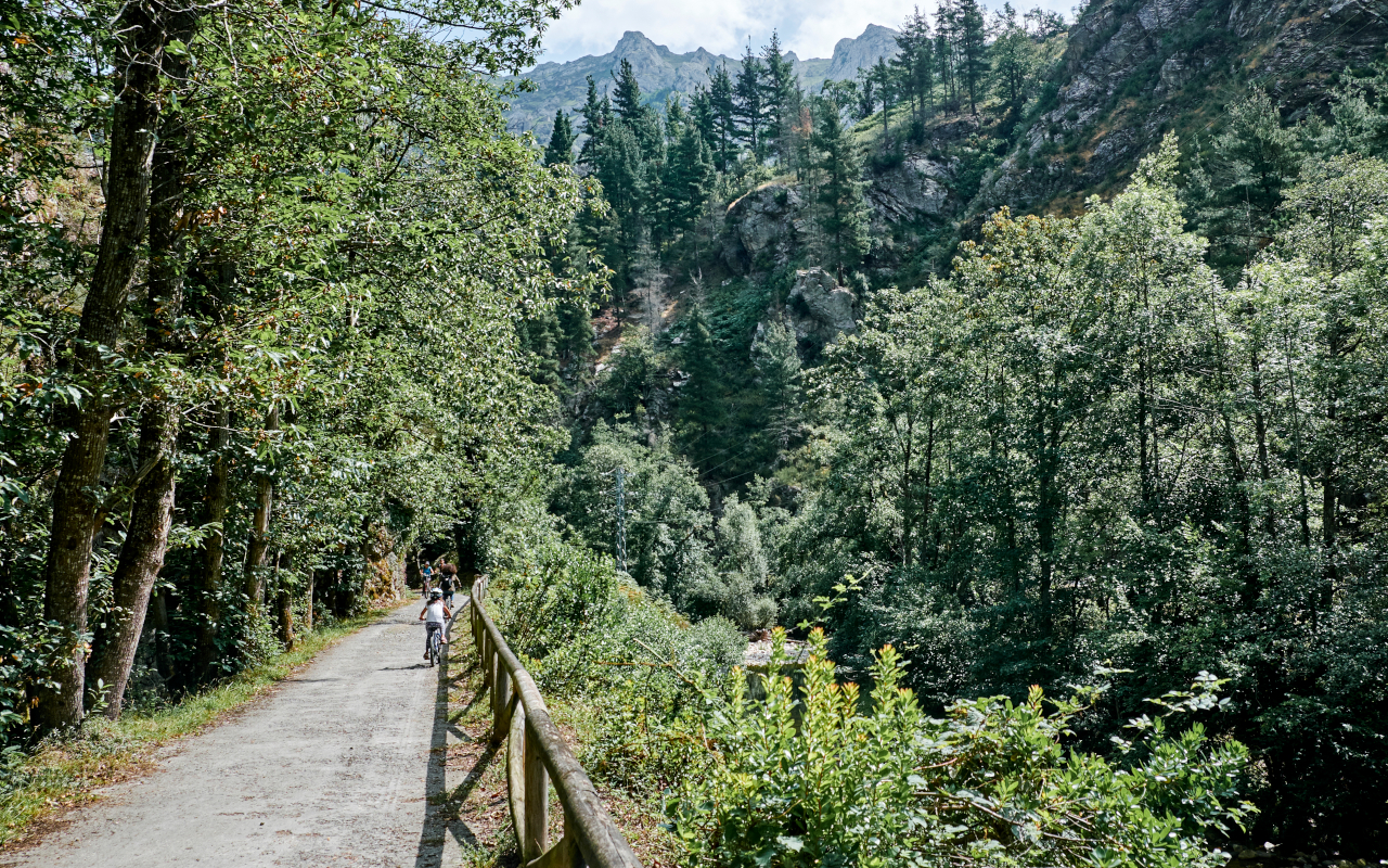 Paisaje verde, rodeado de naturaleza, de la Senda del Oso.