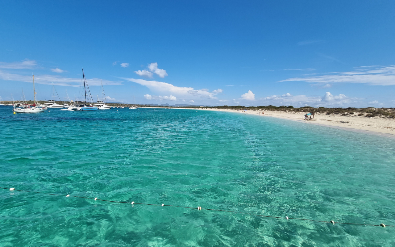 Aguas transparentes de S'Espalmador, el lugar perfecto para practicar snorkel.