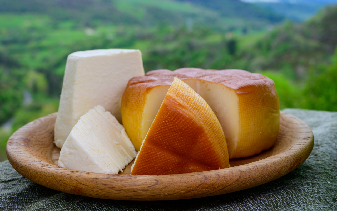 Quesos de Asturias con el verde tan significado de esta región de fondo.