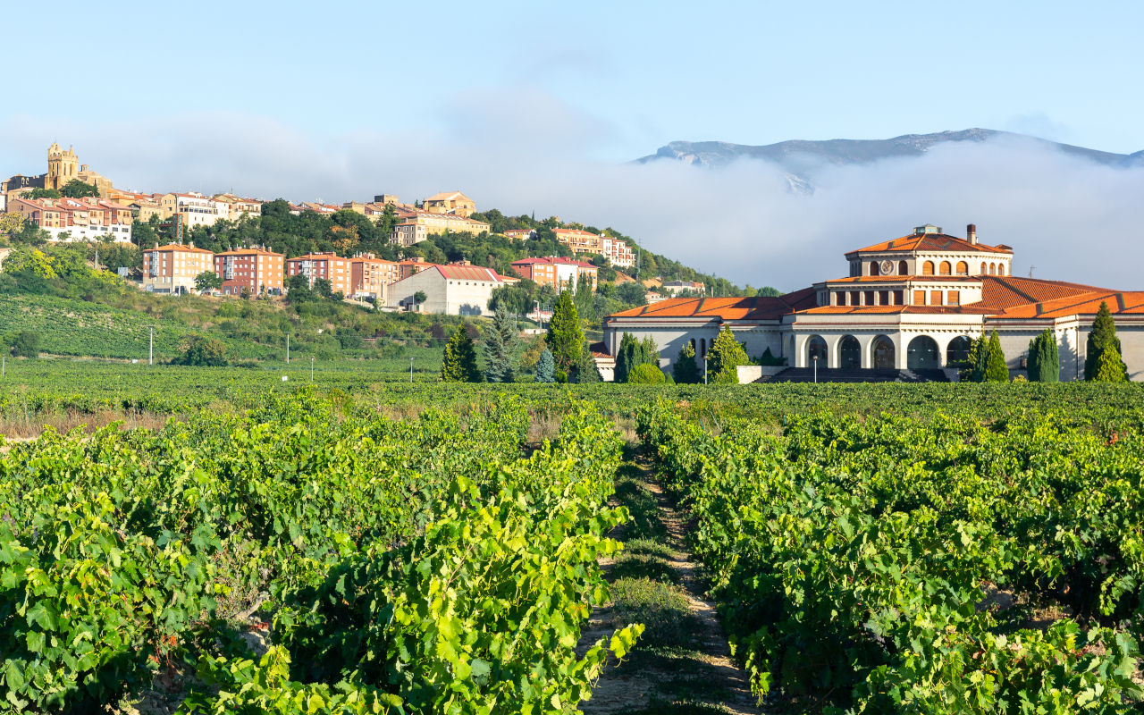 La localidad de Laguardia y sus viñedos de Rioja Alavesa