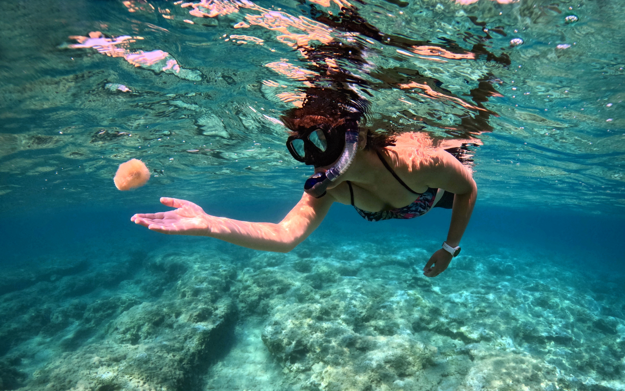 Durante el paseo tendrás la oportunidad de practicar snorkel.