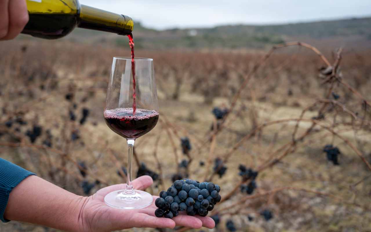Experto en vino sirve una copa para una cota en la Rioja Alavesa