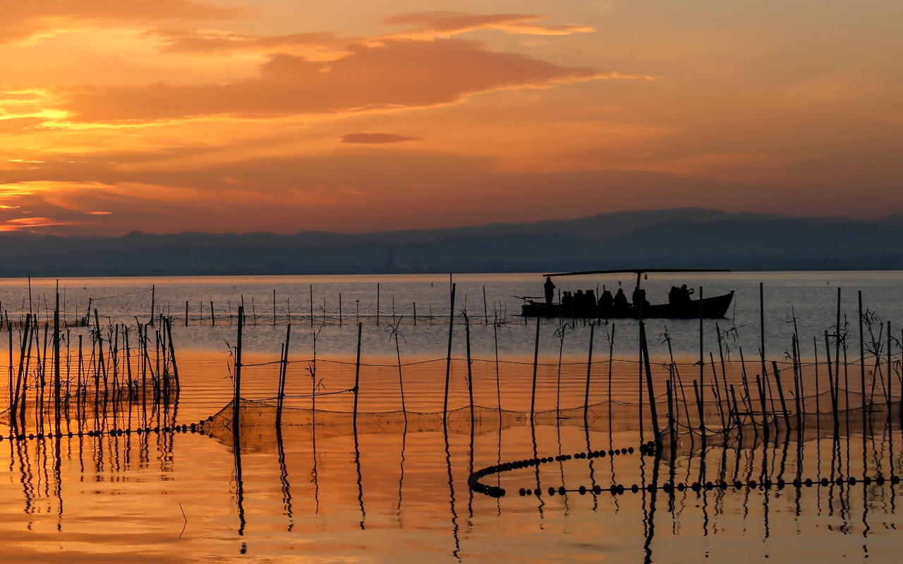 Desde el agua, los canales se abren paso entre la vegetación. El guía señala una barraca: allí empieza otra historia.