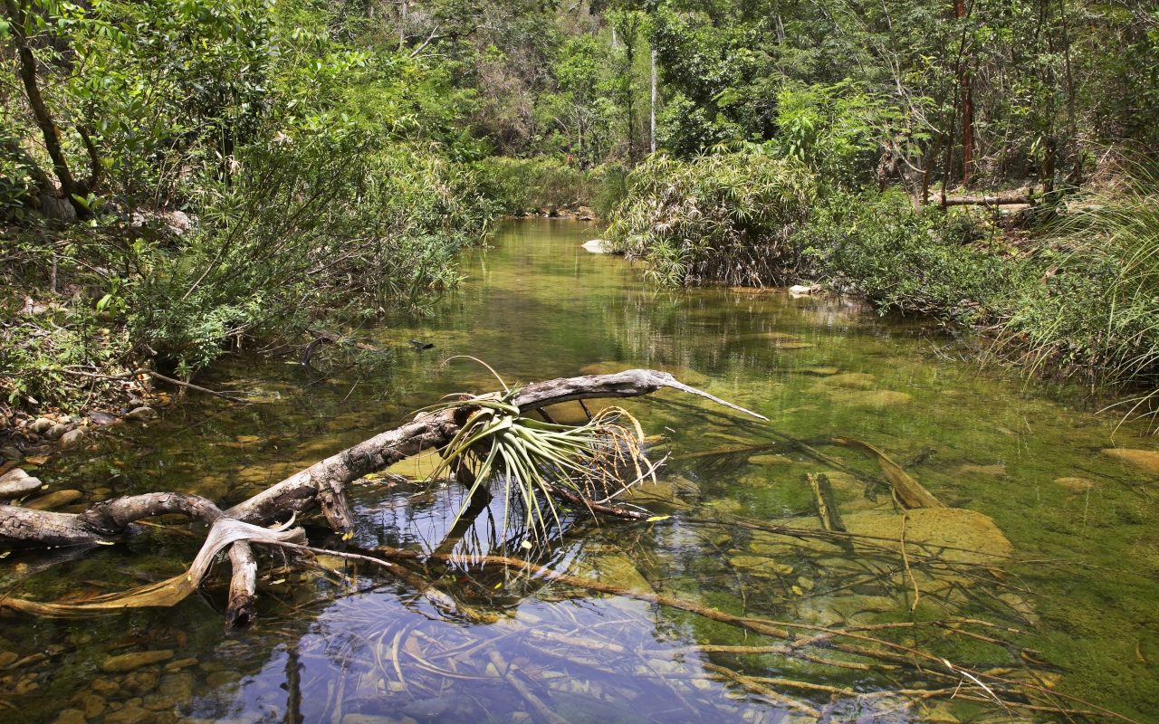 Agua transparente en el Parque Natural el Cubano en Trinidad, Cuba
