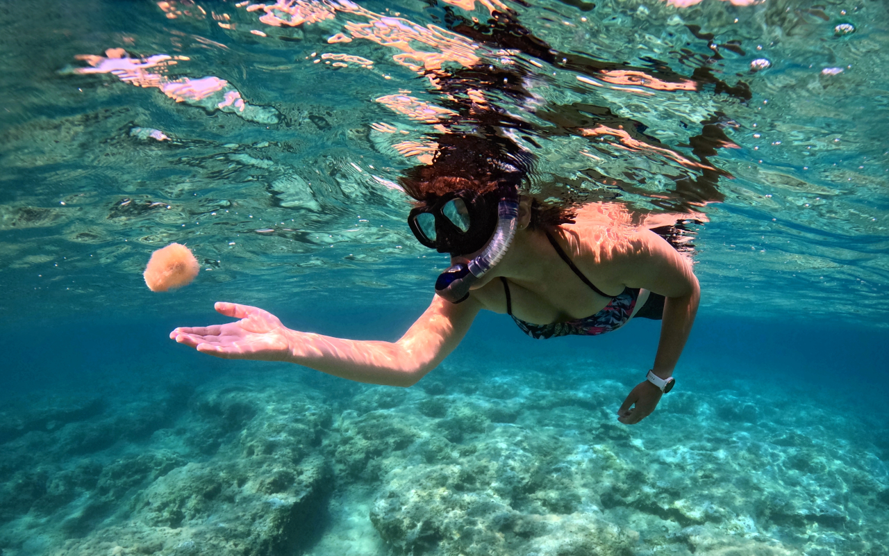 Durante la jornada podrás practicar snorkel.