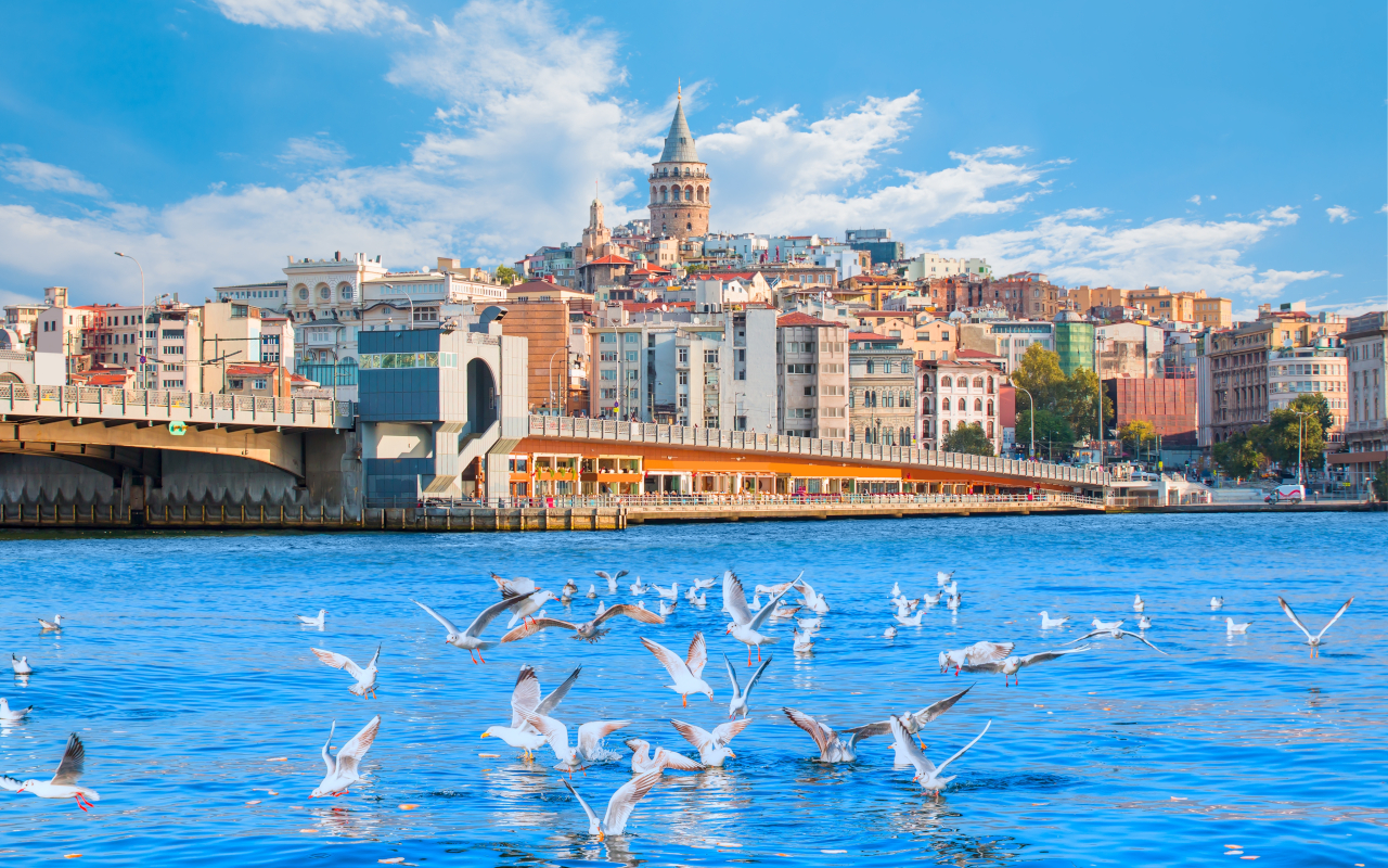 Vista de gaviotas revoloteando en el Bósforo y la torre Galata de fondo, Estambul