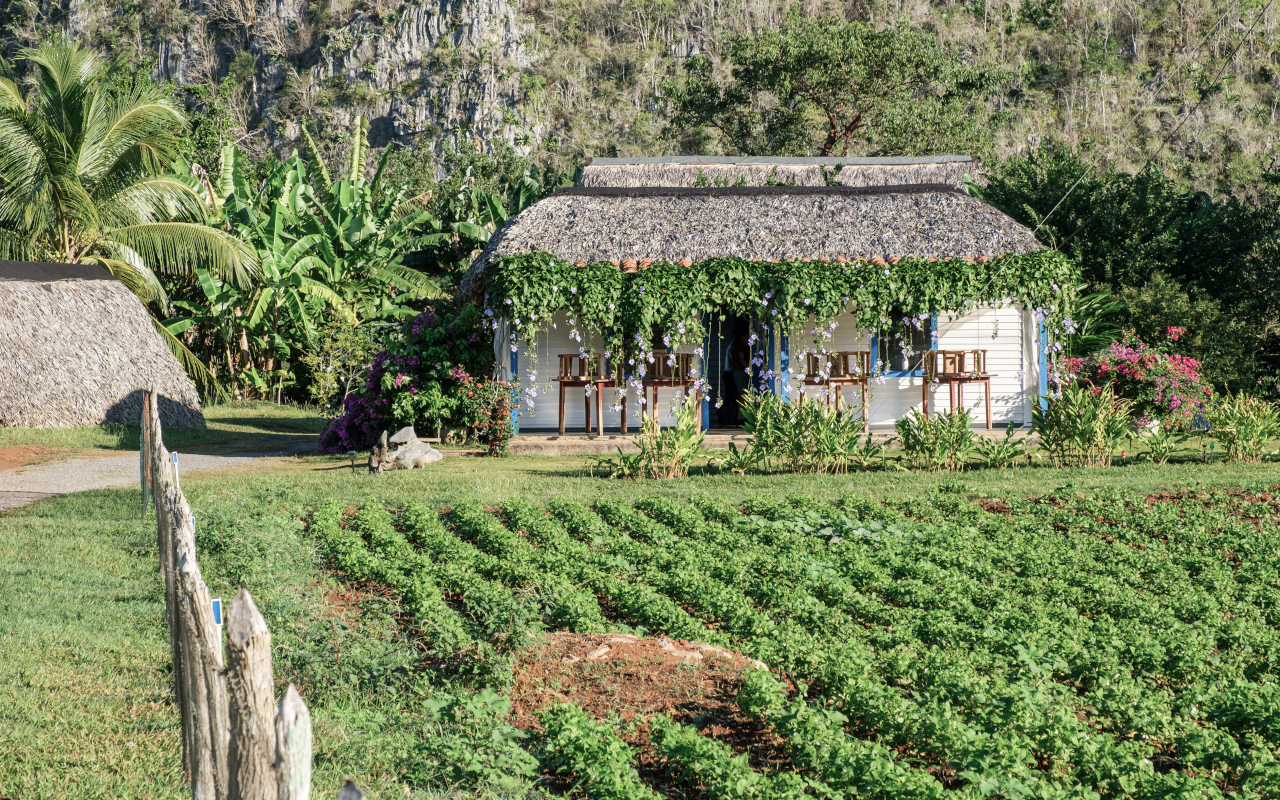 Casa típica del entorno de Viñales.