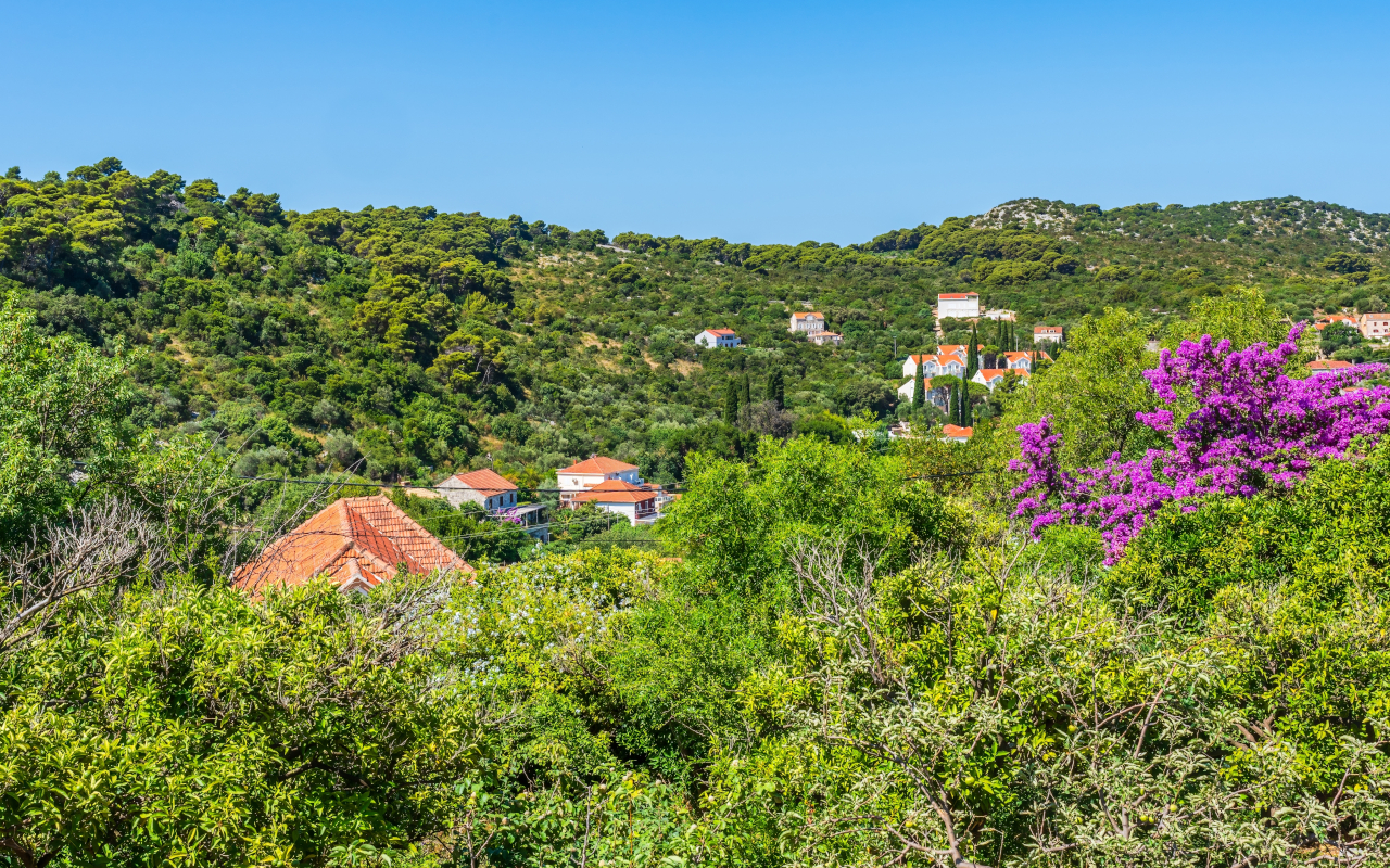 Paisaje rural de la isla de Kolocep.