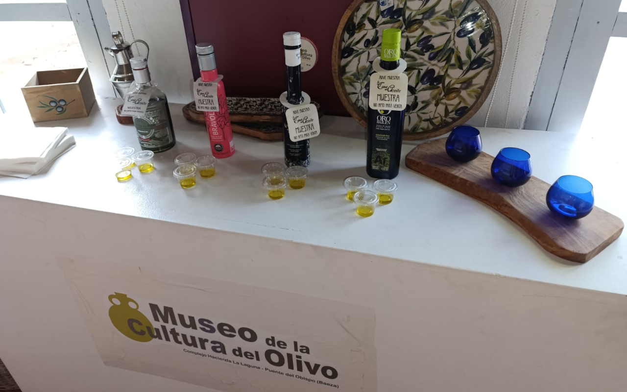Taller de cata de aceites, incluido en esta experiencia de oleoturismo en la Hacienda La Laguna.