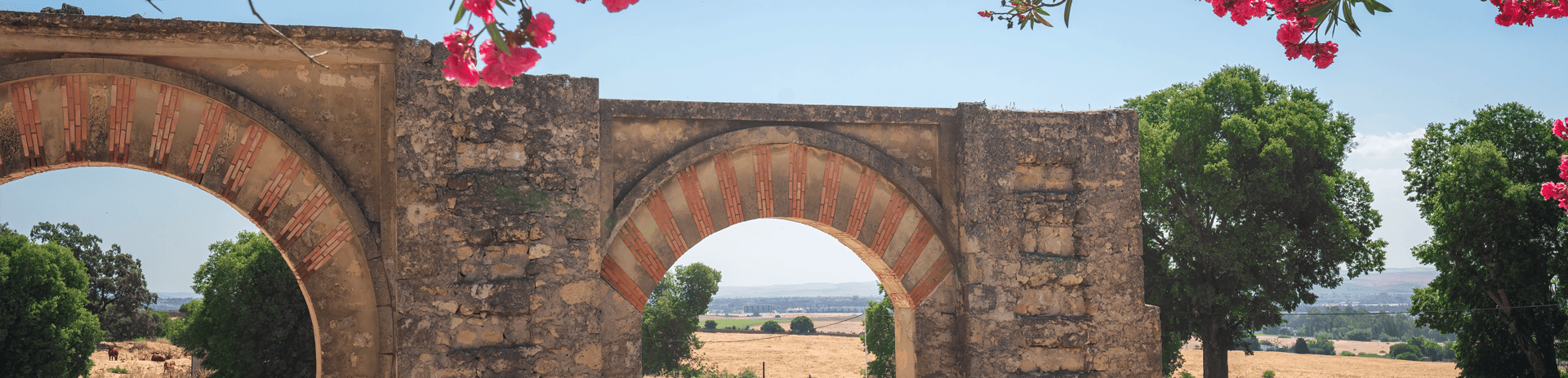 Visitas guiadas a Medina Azahara de Córdoba