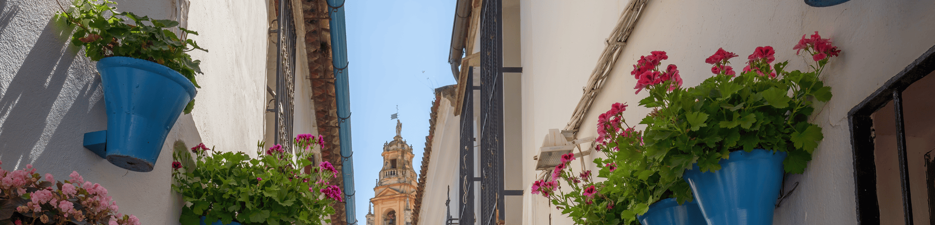 Visitas guiadas a los Patios Cordobeses