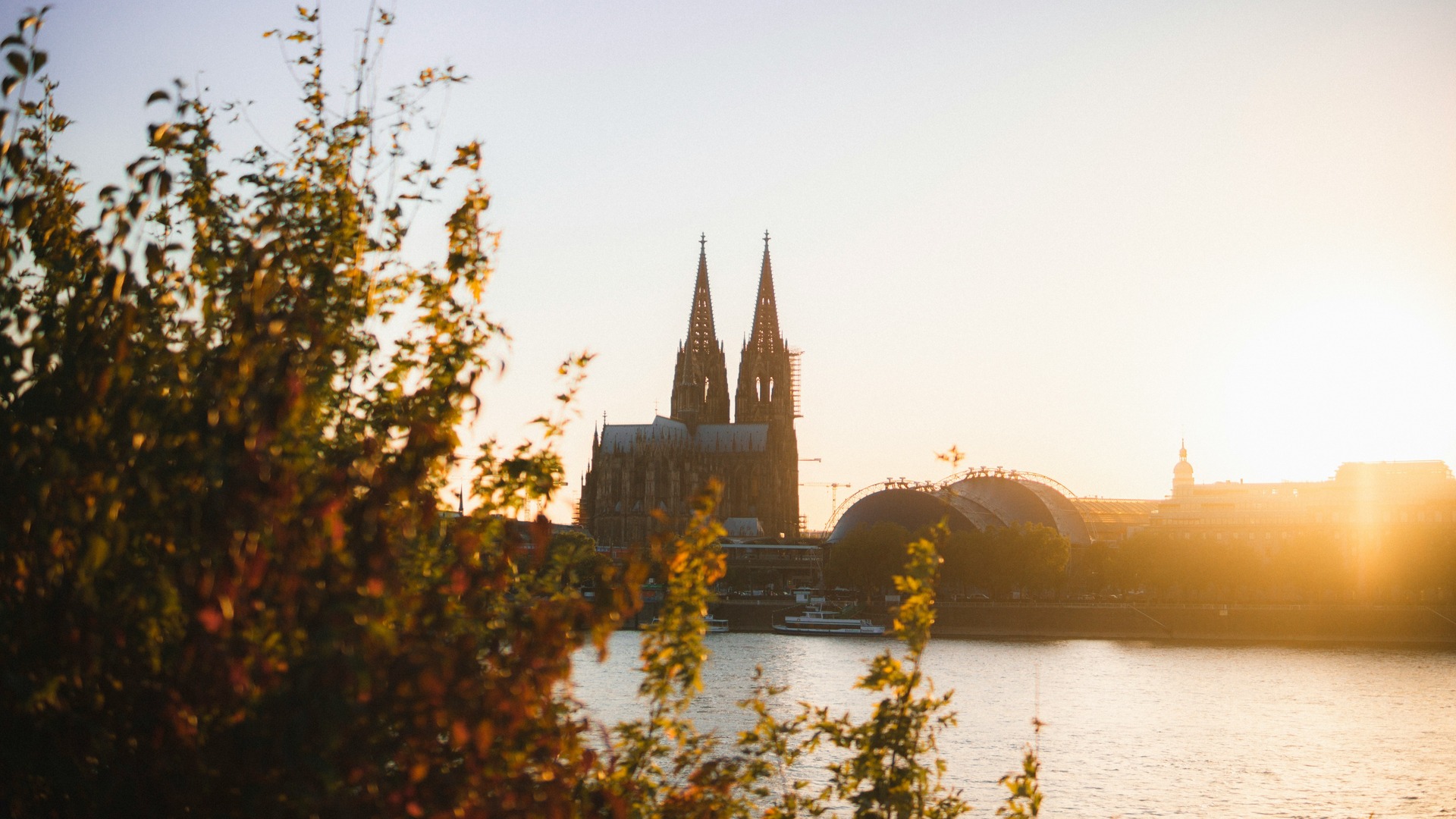 Catedral de Colonia tras la vegetación frente al río Rin durante el atardecer.