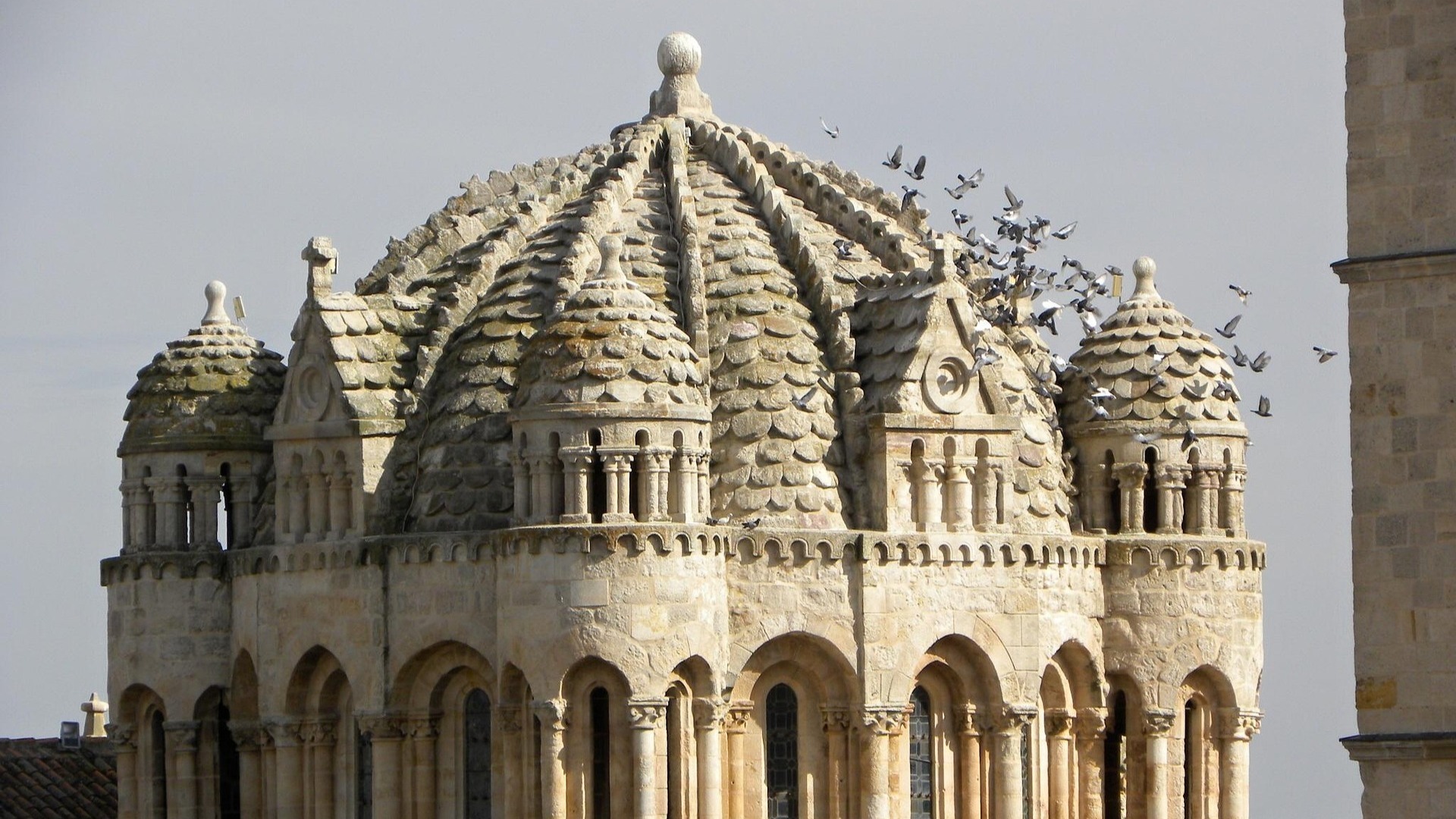 Cúpula bizantina de escamas pétreas de la Catedral de Zamora, España, con un grupo de palomas volando.